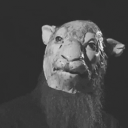 WizzTrades Discord avatar